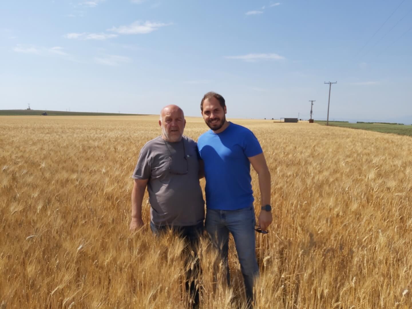 Euroseeds - 