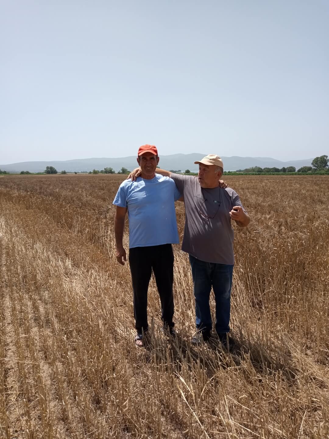 Euroseeds - 