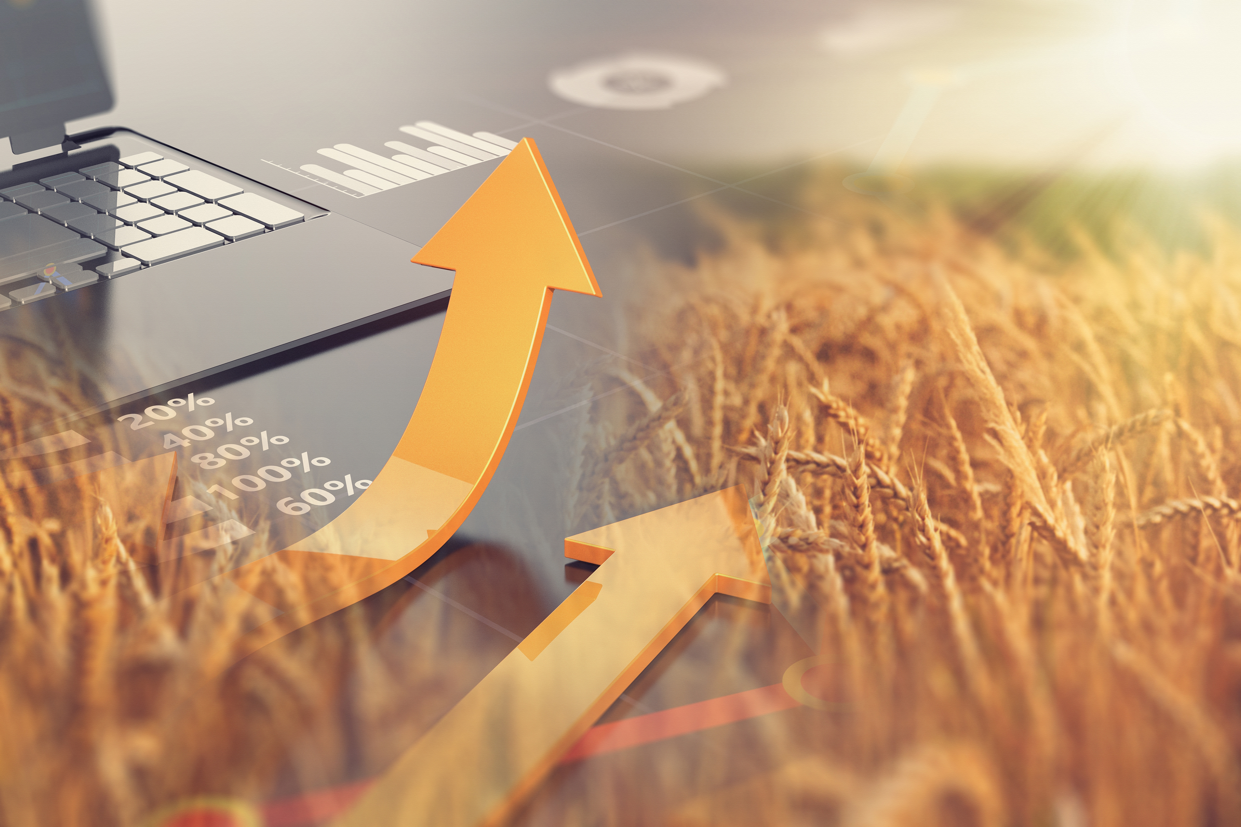 Euroseeds - 