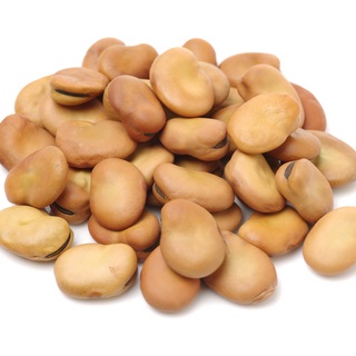 Euroseeds - 