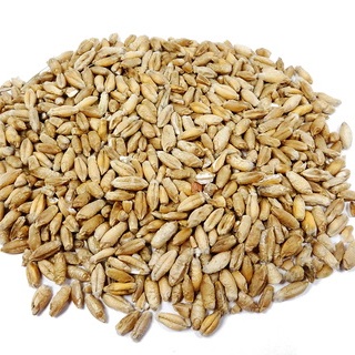 Euroseeds - 
