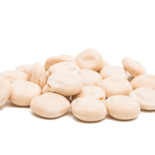 Euroseeds - 