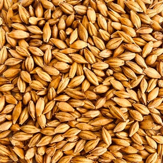 Euroseeds - 