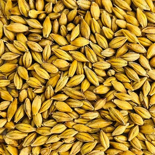 Euroseeds - 